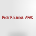 Barrios Peter P CPA Logo