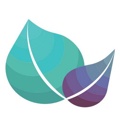 Prosper Strategies Logo