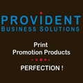 Provident Business Solutions Logo