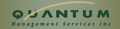 Quantum Management Services Logo