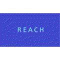 Reach Velocity Logo