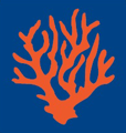 Reef Real Estate Services Inc Logo
