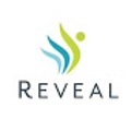 Reveal USA Logo