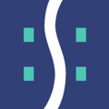 S4 Consulting Logo