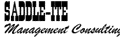 Saddle-ite Management Consulting Logo