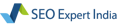 SEO Expert India Logo