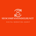 SEOCompanyinDelhi.net Logo