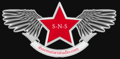 Shoot-N-Starz-Studio Logo