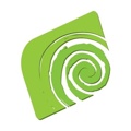 Spiralis consultants Inc. Logo