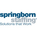 Springborn Staffing / LDT Human Capital Solutions Logo