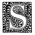 Story Logo