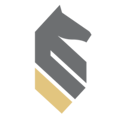 StrategyWise Logo
