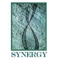 Synergy Computer Solutions Logo