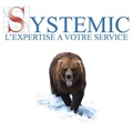 Systemic Logo
