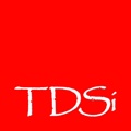 TDSI the Design Studio Inc Logo