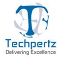Techpertz IT Solutions Logo