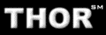 The Thor Group Logo