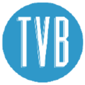 The Visual Brand Logo