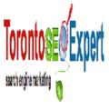 Toronto SEO Expert Logo