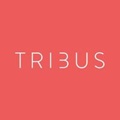 Tribus Digital Logo