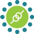KiwiQA Services Logo