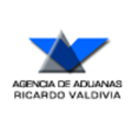 Ricardo Valdivia Logo