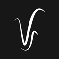 Venture Stream Logo