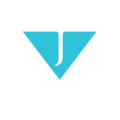 Victoria James Executive Search, Inc. Logo