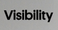Visibility Logo