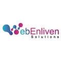 WebEnliven Solutions Logo