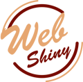 WebShiny | Best Digital Marketing Company In Amritsar, Top Digital Marketing, SEO, SMM agency Logo