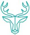 Wired Media Logo