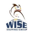 Wise Staffing Group Logo