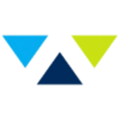 Wiser Strategies Logo