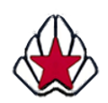 Wonder Woman Web Design Logo