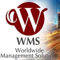 Worldwide Management Solutions Logo
