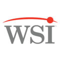 WSI - Workforce Strategies, Inc. Logo