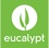Eucalypt Media Logo