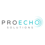 Proecho Solutions Logo