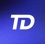 TDSOFT Logo