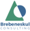 Brebeneskul Consulting Logo