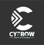 Cyfrow solutions Logo