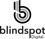 Blindspot Digital Logo