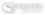 Corporate Solutions Logo