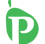 The Paro Consulting Group Logo