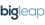 Big Leap Logo