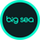 Big Sea Logo