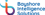 Bayshore Intelligence Solutions Logo