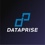 Dataprise Logo