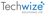 TechWize Logo